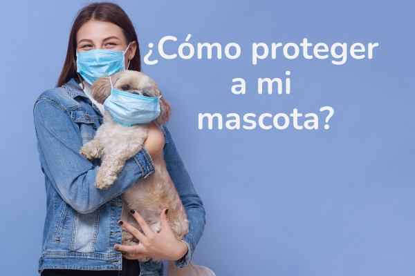 Seguros para mascotas