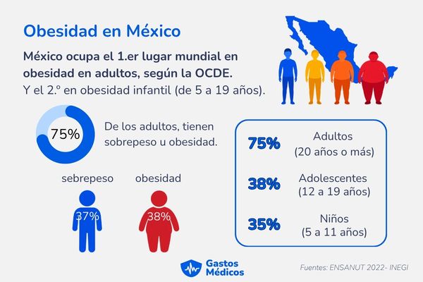 Causas y consecuencias de la obesidad